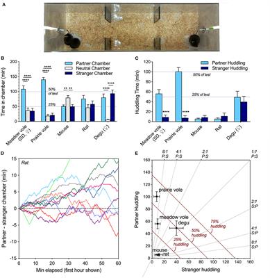 Comparative Assessment of Familiarity/Novelty Preferences in Rodents